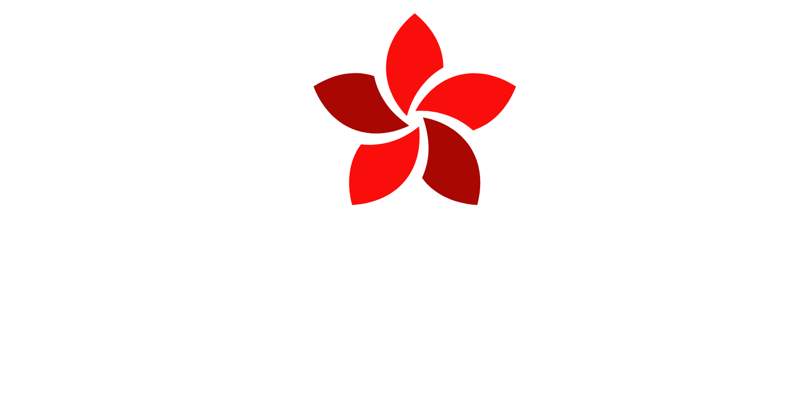 Foreria detalle perfecto Xalapa